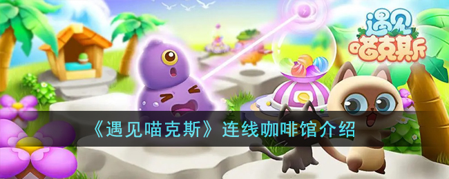遇见喵克斯连线咖啡馆介绍-连线咖啡馆是什么