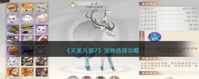 天龙八部2宠物选择攻略-宠物怎么选择