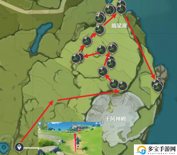 原神塞西莉亚花快速采集路线图-塞西莉亚花怎么快速采集